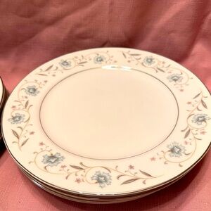 10 English Garden dinner plates